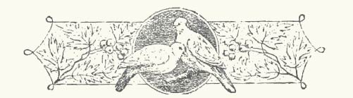 two doves motif