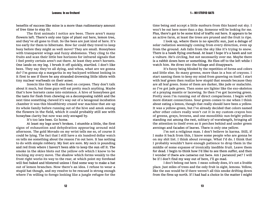 Pages 12 and 13, set in a single restrained serif with running heads carrying the book and chapter titles and centered folios at the foot