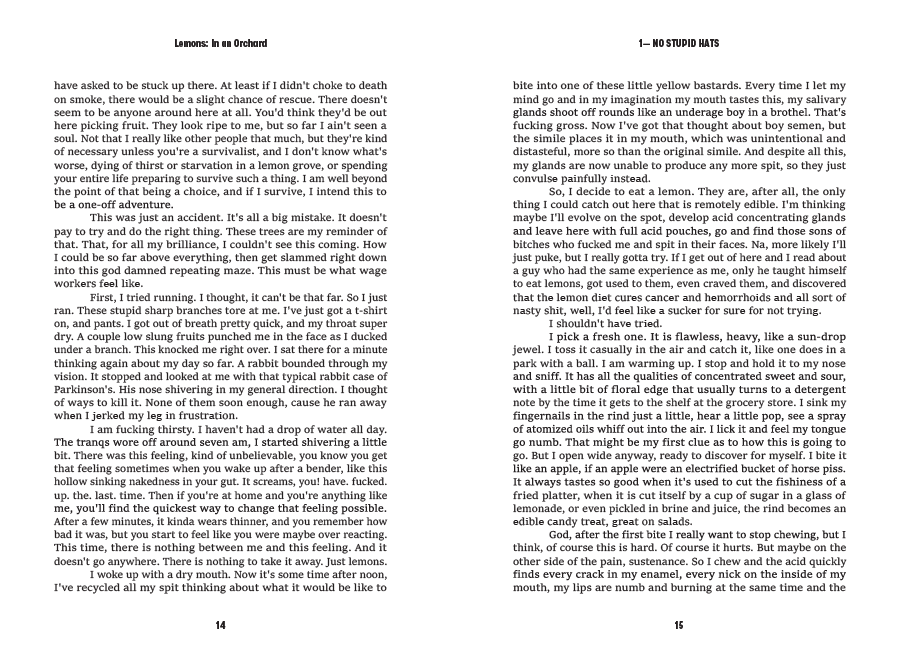 Pages 14 and 15, continuing the chapter in the same serif and grid as the previous spread