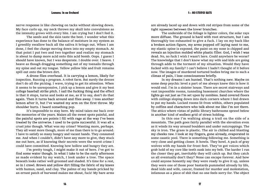Pages 16 and 17, the closing spread of the excerpt, set in the same serif and grid as the rest of the chapter